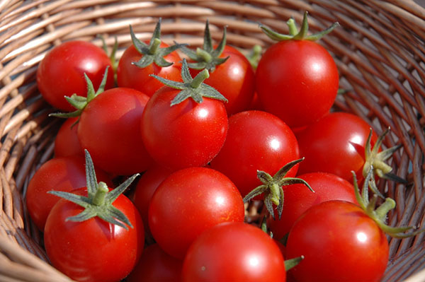 Bảo quản cà chua | mách bạn cách bảo quản đơn giản, tươi ngon nhất