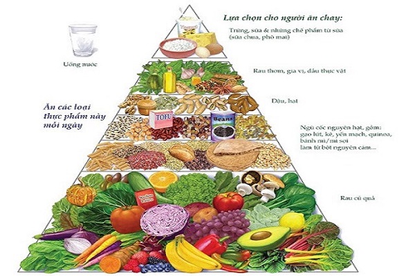 Gợi ý thực đơn ăn chay 1 tuần đầy đủ dinh dưỡng cho người mới bắt đầu - Tháp dinh dưỡng cho người ăn chay